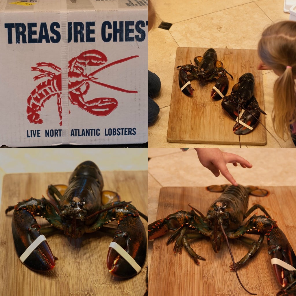 lobster collage 1