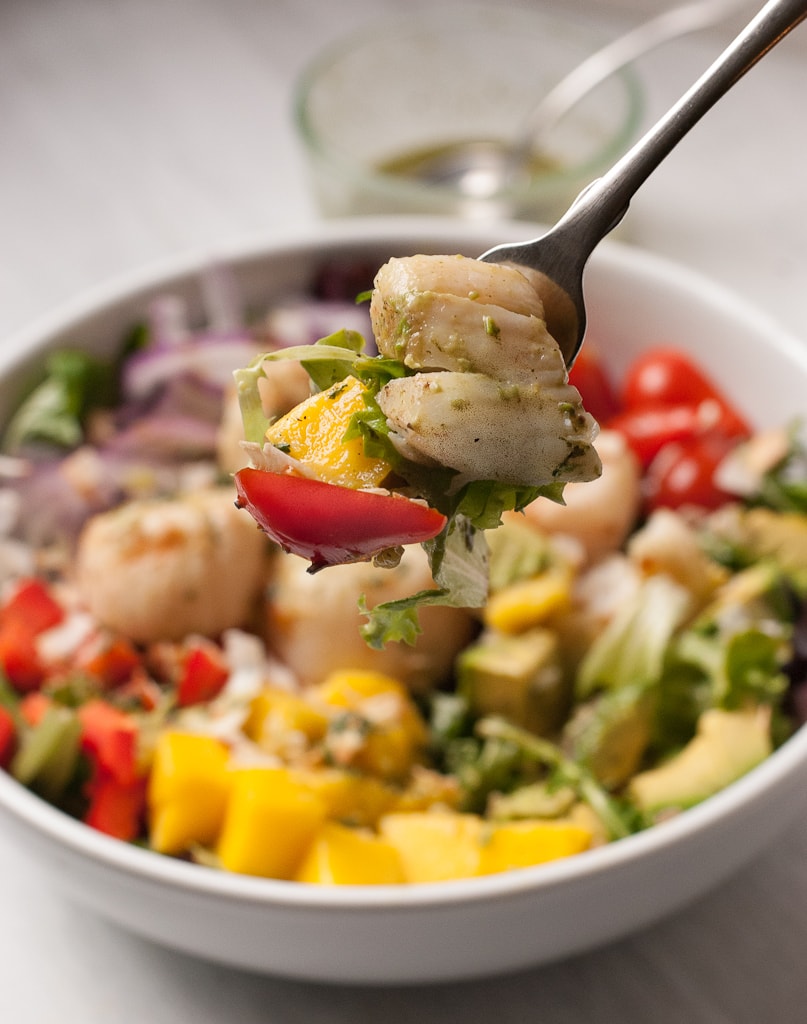 Tropical Scallop Salad with Avocado and Mango and Toasted Coconut PineappleandCoconut.com