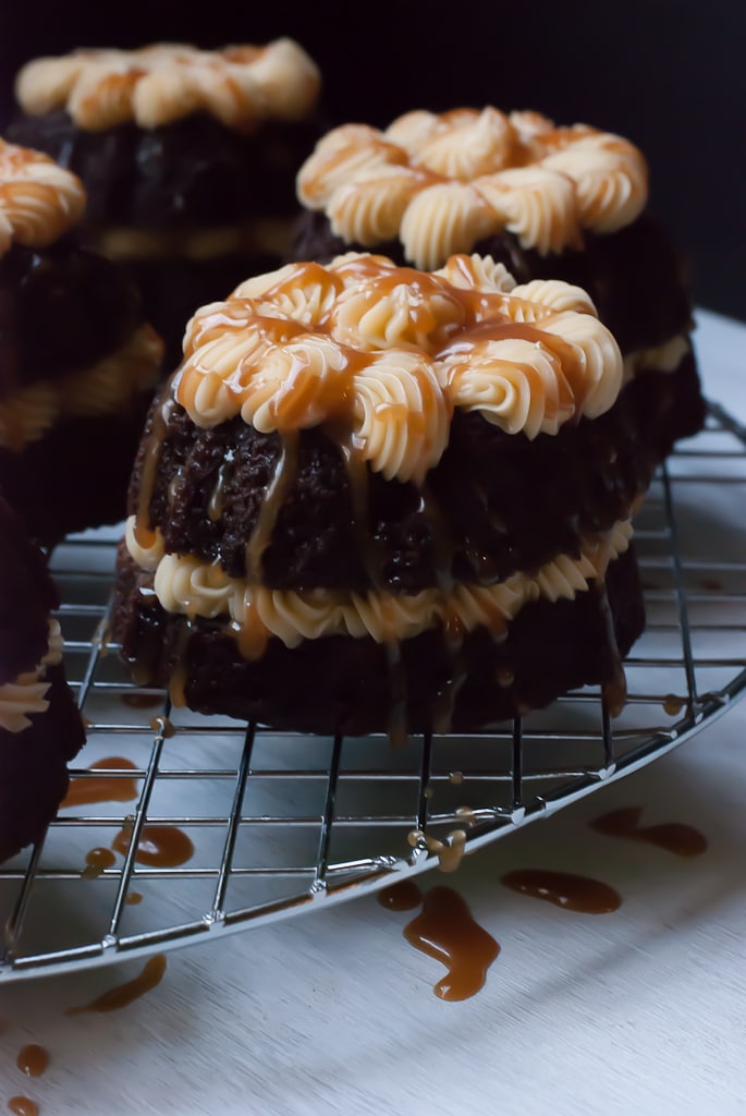 Get ready for the oohs and ahhs when you present your array of cute cakes. Mini Bundt Cake Recipes . Guinness Stout Mini Bundt Cakes with Baileys Buttercream