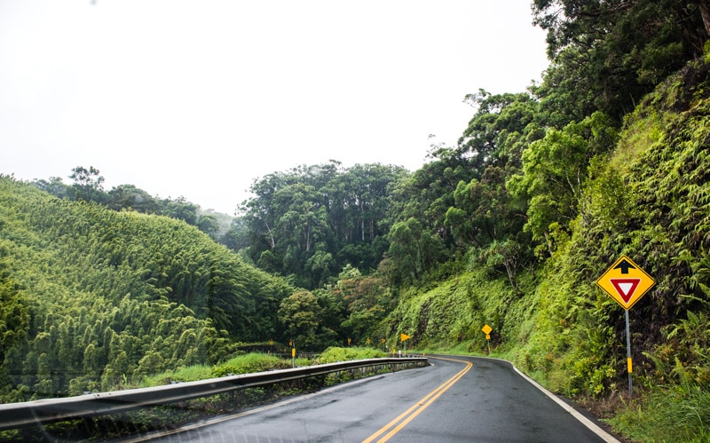 Road to Hana, Maui, 