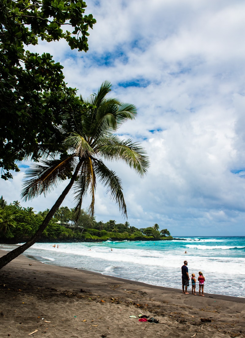 palm tree and people on hamoa beach in maui