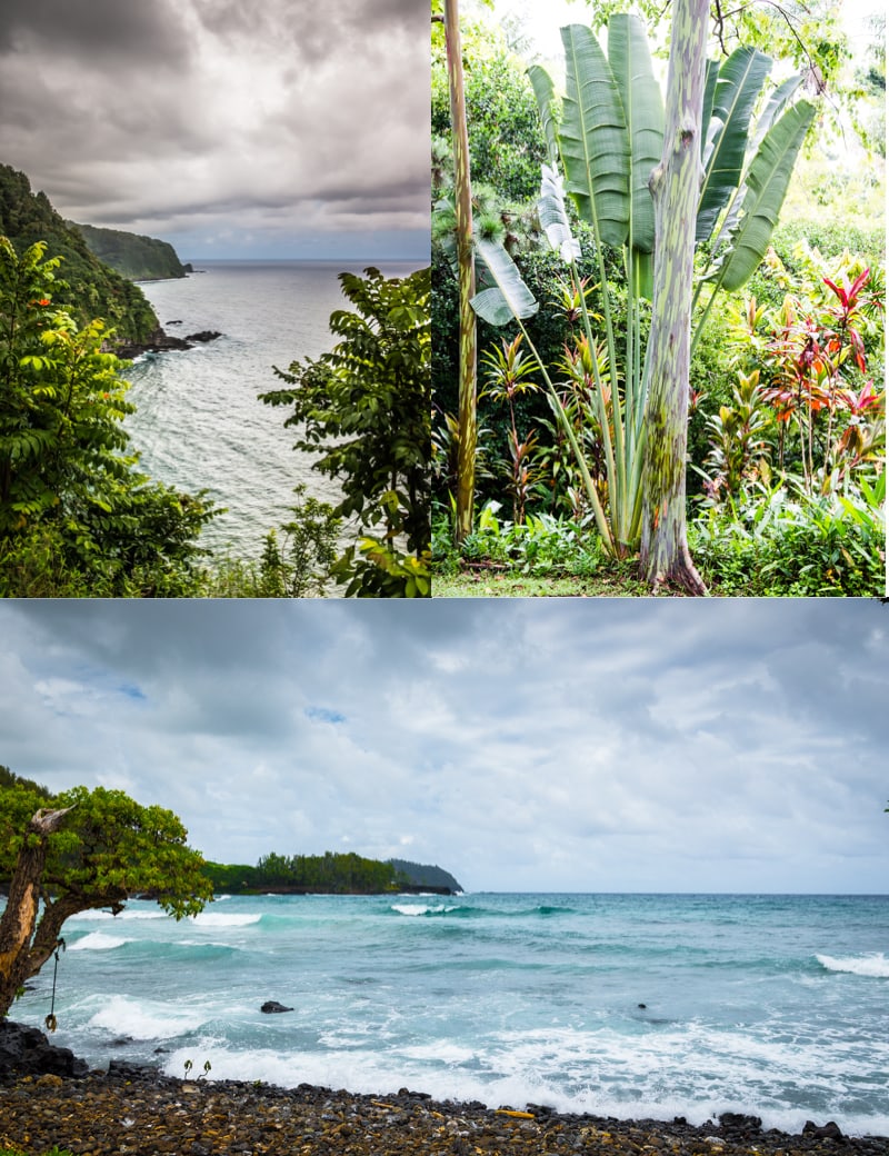 Halfway to Hana Banana Bread www.pineappleandcoconut.com