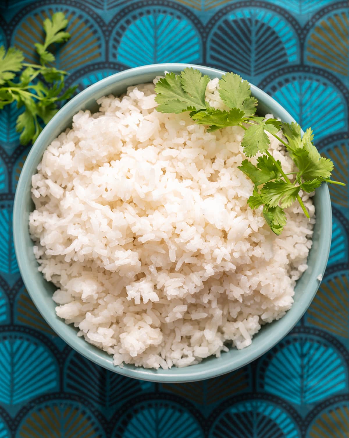 bowl of white coconut rice with cilantro