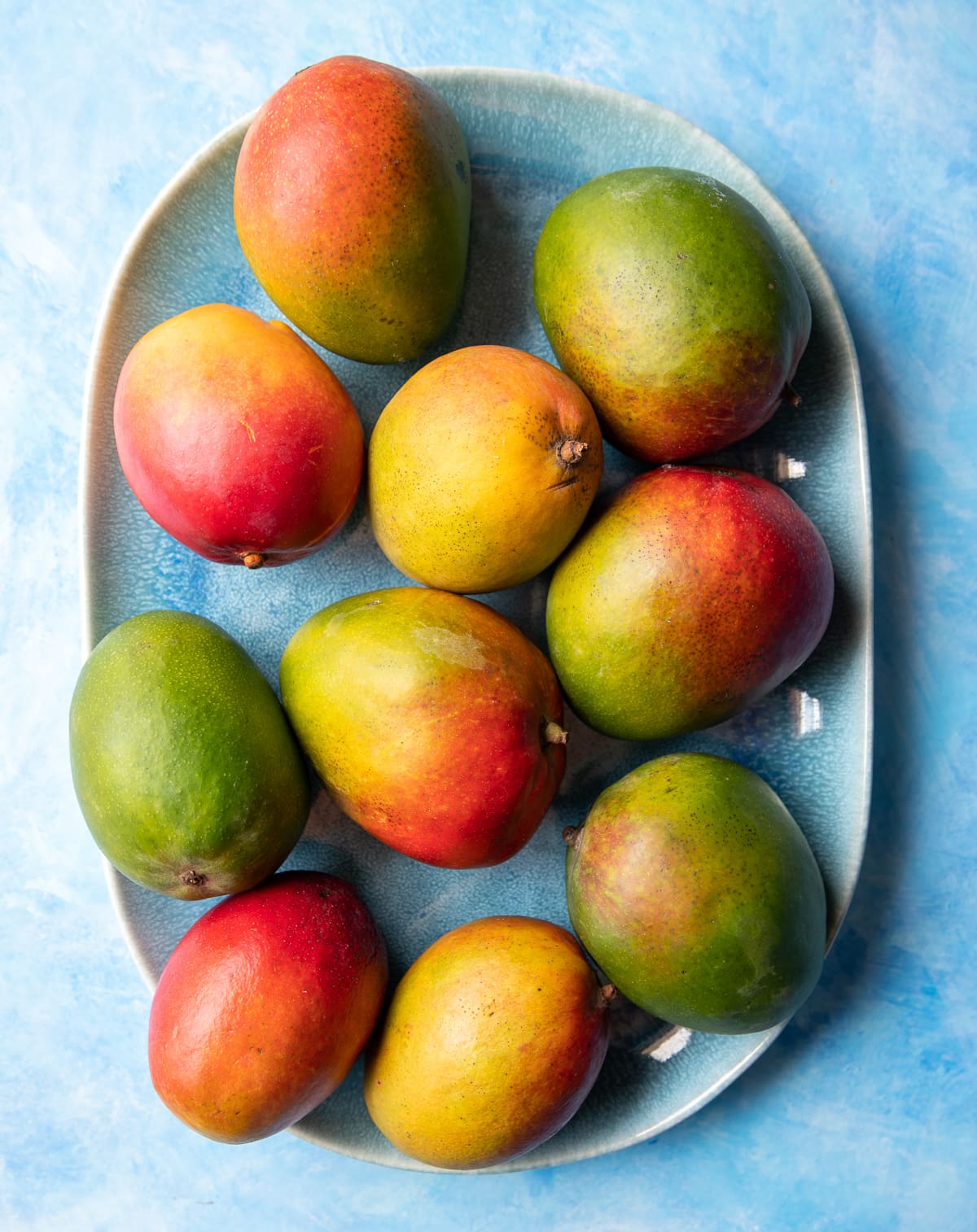ten whole red yellow and green mangoes on a blue platter