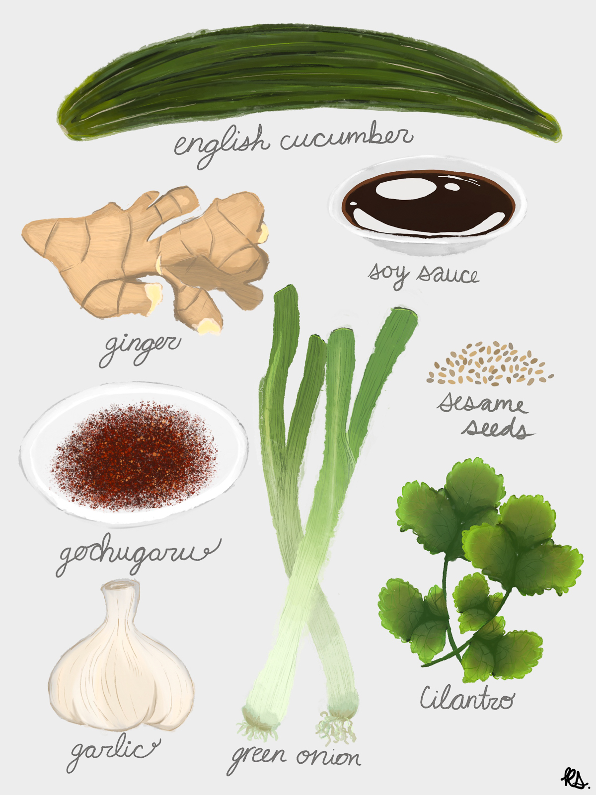 illustration of various vegetables and condiments