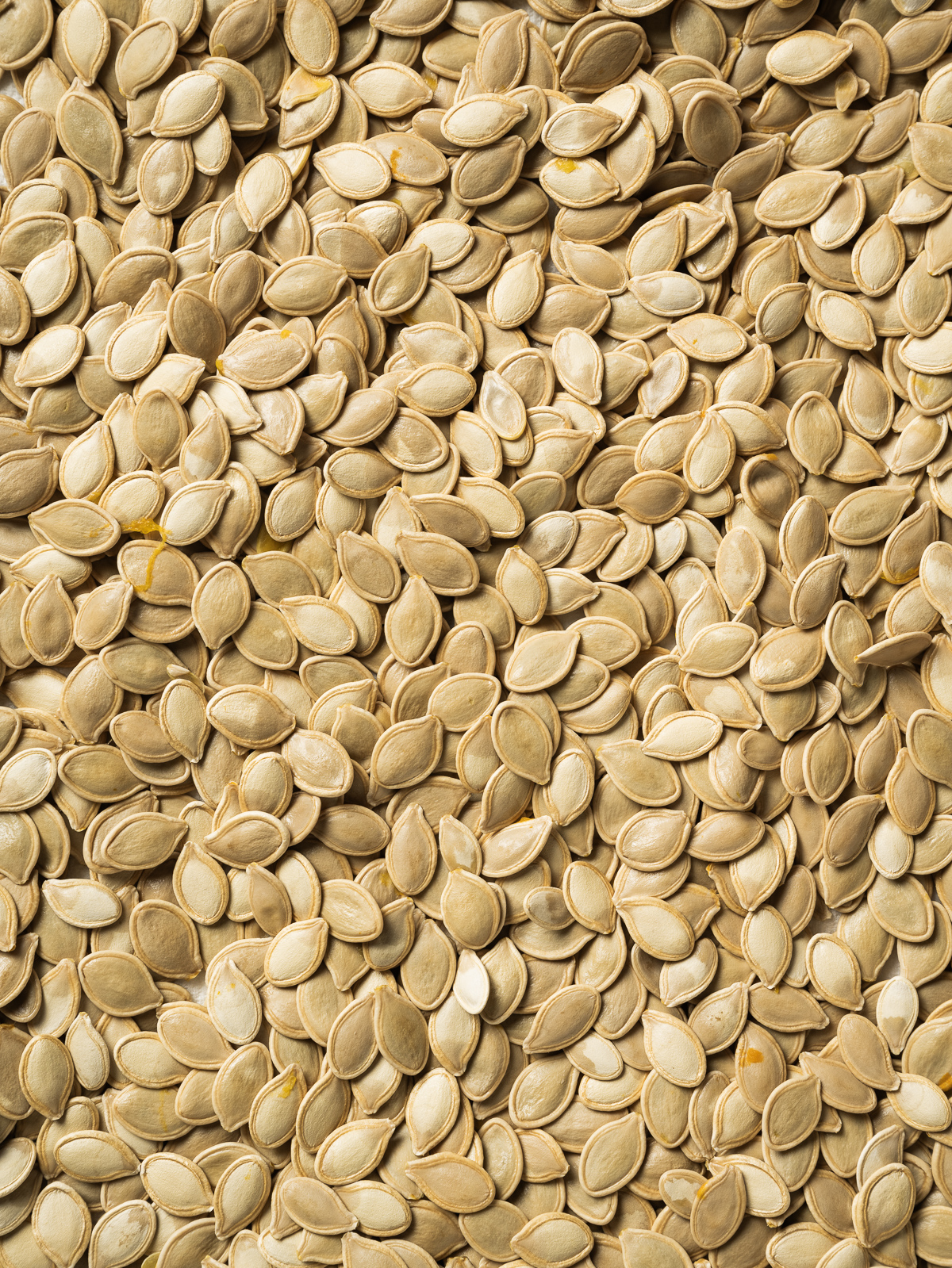 tray of wet raw pumpkin seeds