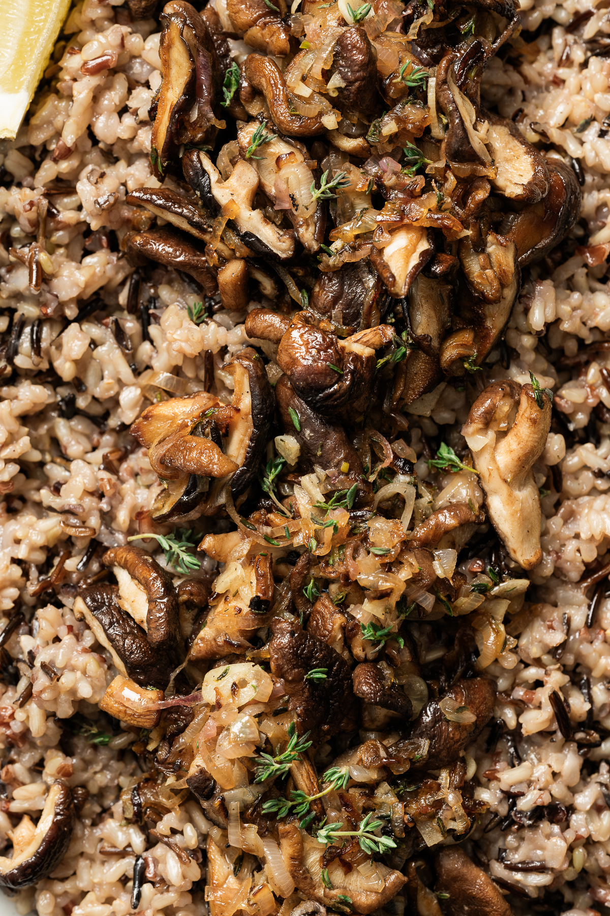 cooked wild rice topped with caramelized shallots sauteed shiitake mushrooms fresh thyme